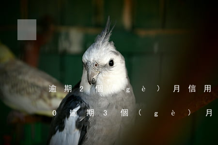 逾期2個(gè)月信用卡(信用卡20000逾期3個(gè)月了)