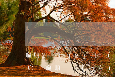 逾期2個(gè)月會(huì)影響貸款(房貸逾期兩個(gè)月會(huì)影響征信嗎)