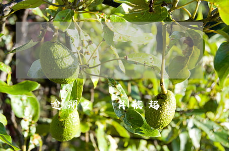 逾期2個月被起訴