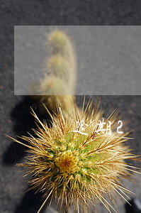 逾期2年5年房貸(房貸看2年還是5年逾期)