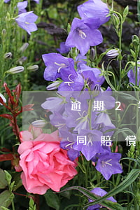 逾期2年未簽勞動合同怎么賠償(兩年未簽合同賠償多少)