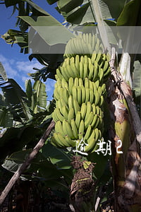 逾期2年沒被起訴是怎么回事 欠款逾期兩年