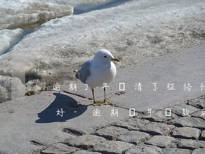 逾期2年還清了征信什么時(shí)候變好-逾期兩年還款后 征信能恢復(fù)嗎