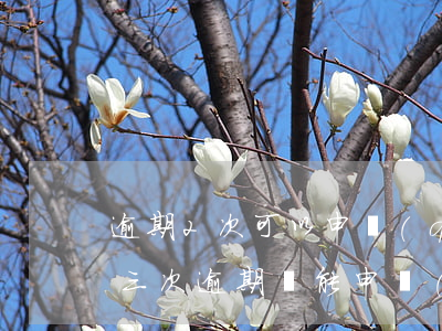 逾期2次可以申請(qǐng)貸款嗎(征信三次逾期還能申請(qǐng)貸款)