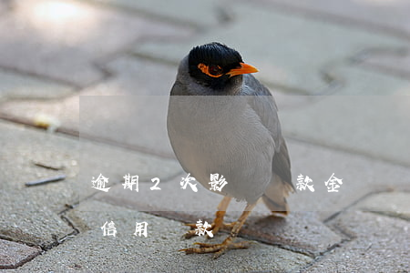 逾期2次影響貸款金額嗎(貸款逾期兩次影響信用貸款嗎)