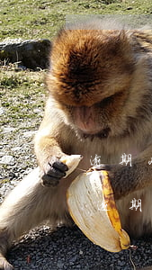 逾期2次能辦信用卡不(征信有兩個(gè)逾期能辦信用卡嗎)