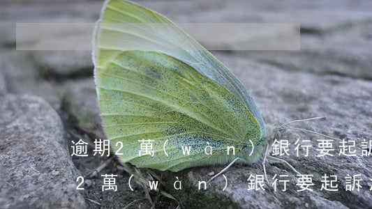 逾期2萬(wàn)銀行要起訴怎么辦（逾期2萬(wàn)銀行要起訴怎么辦）