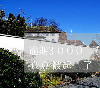 逾期3000會(huì)被告嗎（逾期3000被起訴了）