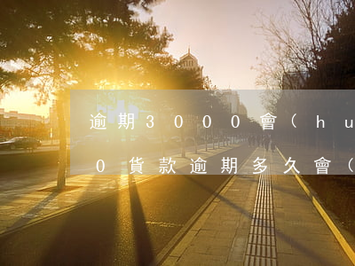 逾期3000會(huì)被起訴嗎（3000貨款逾期多久會(huì)被起訴）