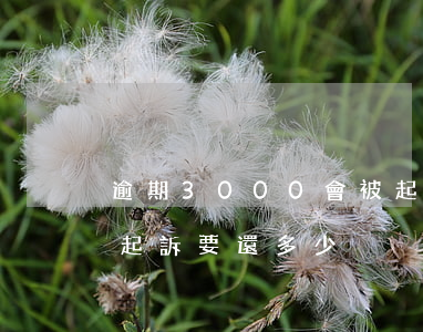 逾期3000會被起訴嗎（3000逾期一年起訴要還多少）