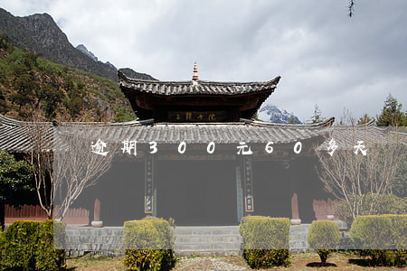 逾期300元60多天會(huì)被起訴嗎