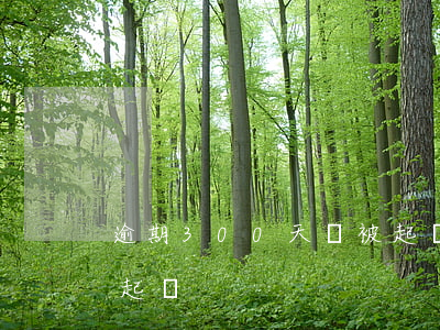 逾期300天沒被起訴(3000多逾期會被起訴)