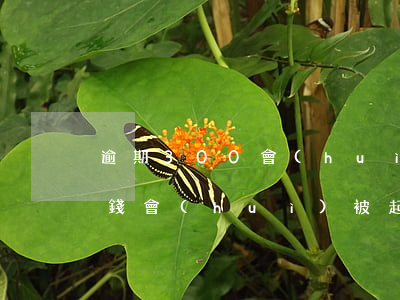 逾期300會(huì)起訴嗎(欠300塊錢會(huì)被起訴嗎)