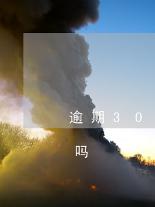 逾期30天以上的贷款(贷款逾期20天严重吗)
