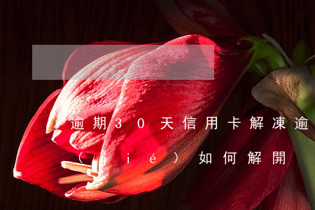 逾期30天信用卡解凍 逾期后信用卡被凍結(jié)如何解開?