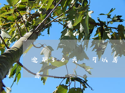 逾期30天還可以房貸嗎(逾期30天還可以房貸嗎)