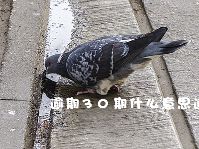 逾期30期什么意思(逾期30元有什么影響)