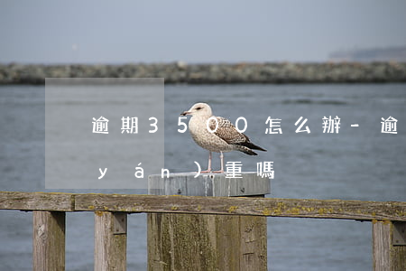 逾期3500怎么辦-逾期三百多塊錢嚴(yán)重嗎