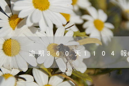 逾期360天1104報表