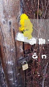 逾期360天以上債務(wù)轉(zhuǎn)讓是什么-逾期360天以上債務(wù)轉(zhuǎn)讓是什么意思