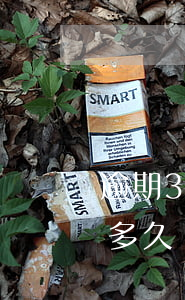 逾期360日認(rèn)定-360逾期多久變正常