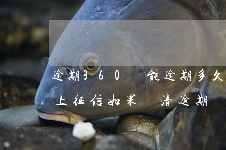 逾期360還能逾期多久上征信 360逾期上征信,如果還清逾期還影響征信嗎