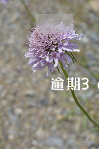 逾期36萬貸款12年(逾期十幾次貸款成功)