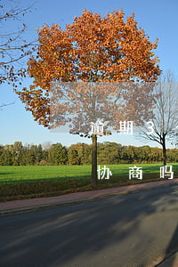 逾期3个月去协商还款(逾期三个月以上还能协商吗)