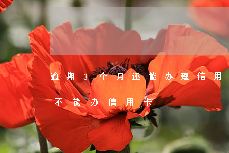 逾期3个月还能办理信用卡吗(逾期两个月能不能办信用卡)
