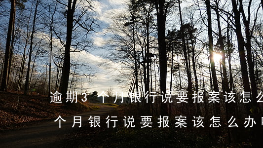 逾期3个月银行说要报案该怎么办-逾期3个月银行说要报案该怎么办呢