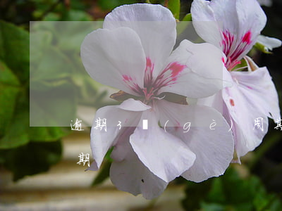 逾期3個(gè)周期(逾期3個(gè)周期)