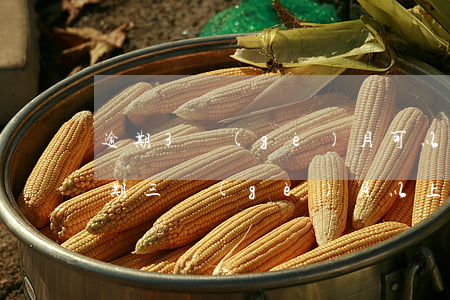 逾期3個(gè)月可以辦信用卡嗎(信用逾期三個(gè)月以上還能不能用)