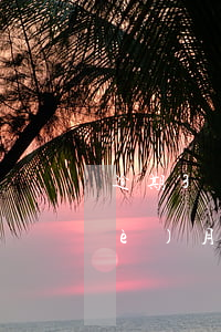 逾期3個(gè)月就起訴了(逾期3個(gè)月會(huì)被起訴嗎)