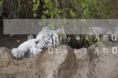 逾期3個(gè)月能協(xié)商嗎(逾期3個(gè)月能協(xié)商嗎怎么協(xié)商)