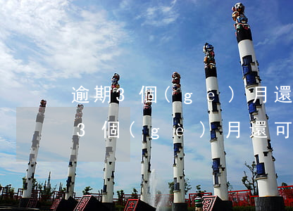 逾期3個(gè)月還可以辦信用卡嗎 逾期3個(gè)月還可以辦信用卡嗎嗎