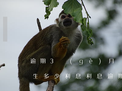逾期3個(gè)月還款會產(chǎn)生多少利息(利息逾期三天)