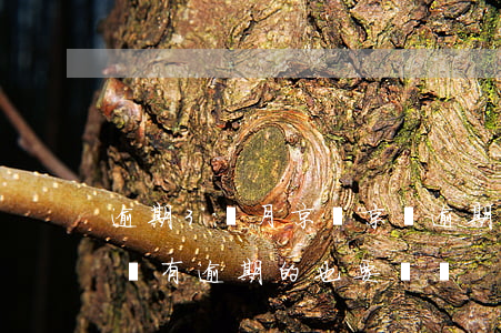 逾期3個月京東(京東逾期2個月,需要把其他沒有逾期的也要還嗎)