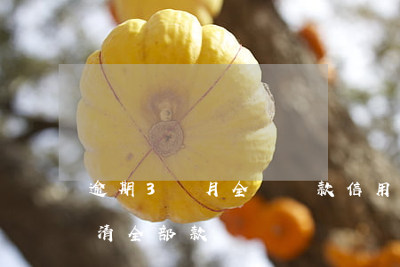 逾期3個月全額還款(信用卡逾期三個月要還清全部款嗎)