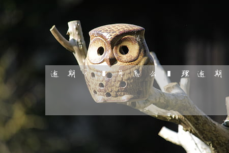 逾期3個月怎么處理(逾期3個月怎么處理)