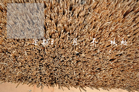 逾期3個月會不會被起訴(逾期幾個月會起訴)