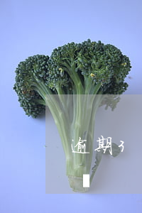 逾期3個月能看出來嗎 逾期3個月能看出來嗎