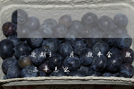逾期3個月還款本金(貸款本金已還,利息逾期三年,怎么辦)
