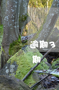逾期3天后可以還款嗎(三天內還款算不算逾期)
