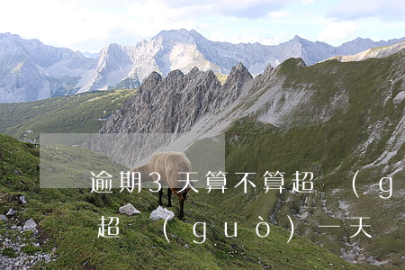 逾期3天算不算超過(guò)1天(逾期不超過(guò)一天)