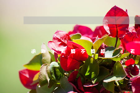 逾期3天算不算超過1天(逾期不超過一天)