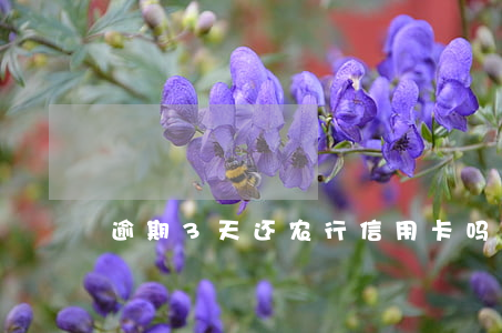 逾期3天还农行信用卡吗(逾期两天还信用卡)