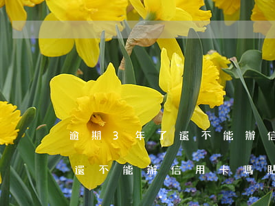 逾期3年了還不能辦信用卡嗎-逾期3年了還不能辦信用卡嗎貼吧