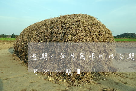 逾期3年信用卡可以分期嗎-逾期的信用卡可以分期嗎