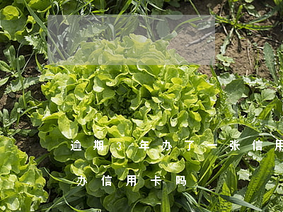 逾期3年办了一张信用卡吗(3年前有逾期能办信用卡吗)