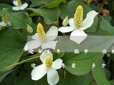 逾期3年還能申請信用卡嗎(信用卡3000逾期三年要還多少)